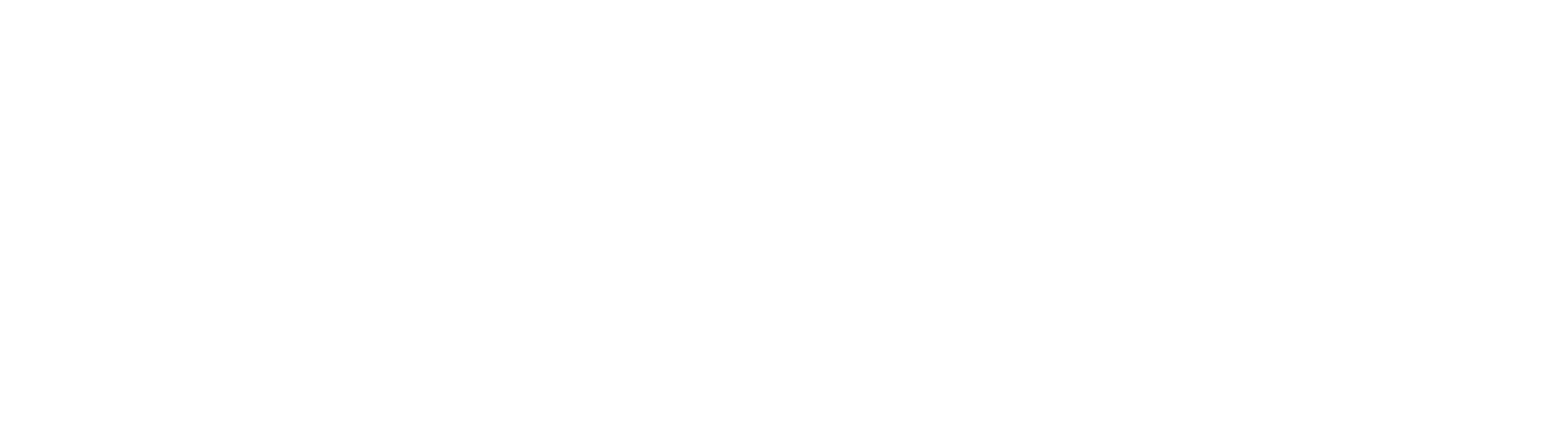 DWBM